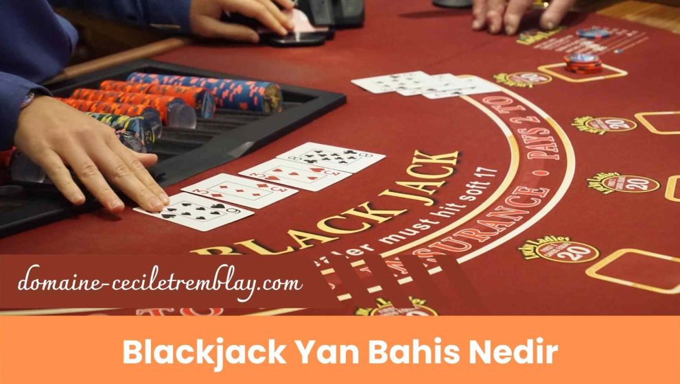 Blackjack Yan Bahis Nedir Öğren Yeni Stratejilere Yol Al!